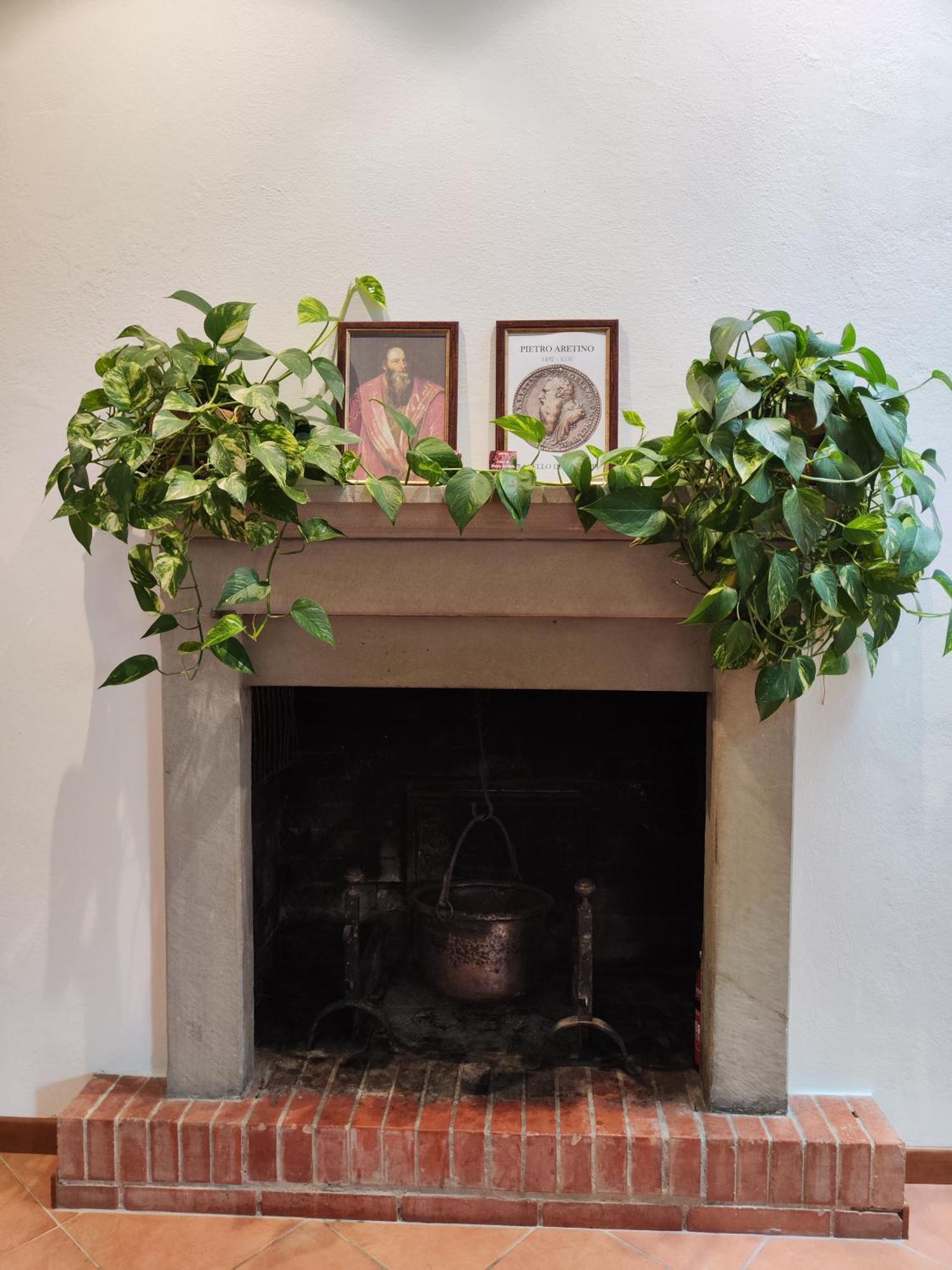 Casa Di Pietro Aretino, Arezzo Centro Storico 4-8 Lettiアパートメント エクステリア 写真